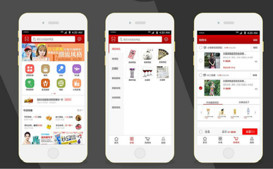 B2C電商APP軟件開發方案及價格淺析